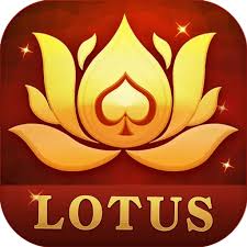 rop rummy download